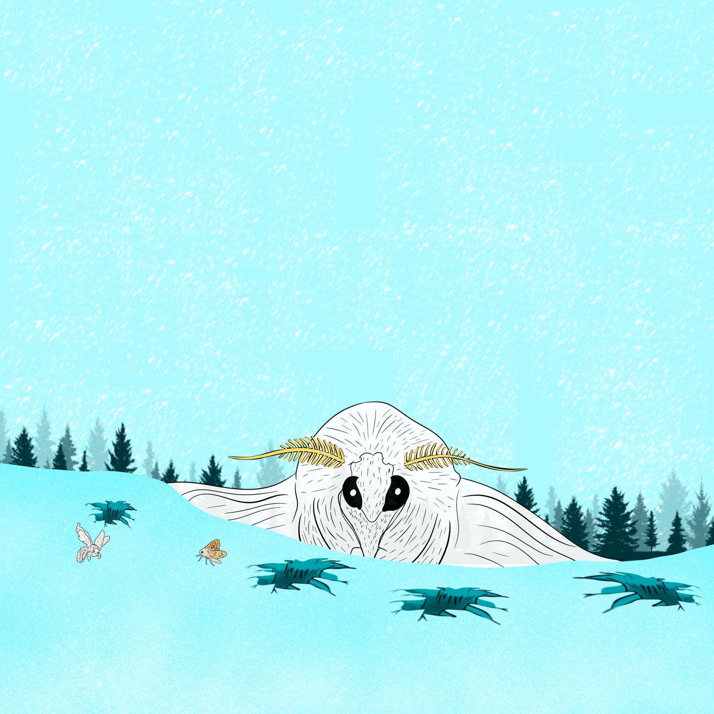 Powder