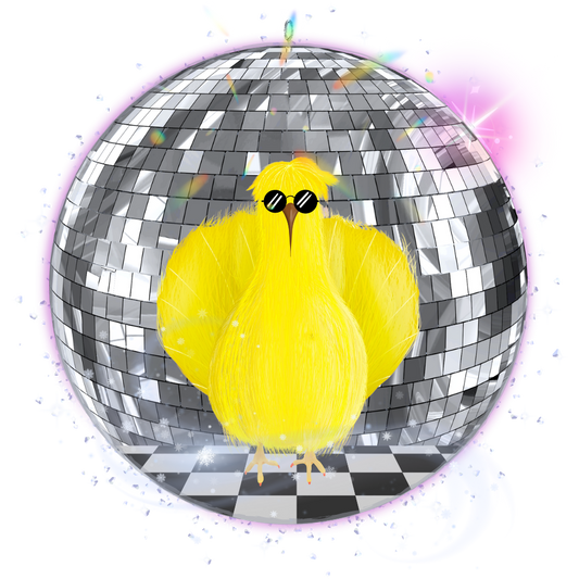 Disco Stardust