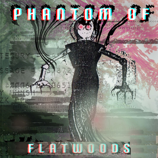 Phantom of Flatwoods