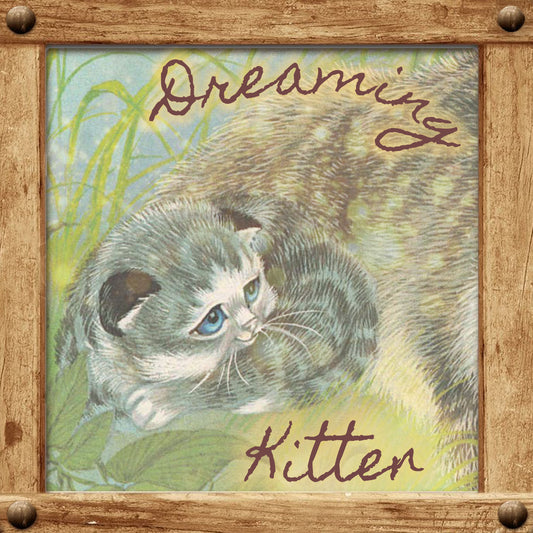 Dreaming Kitten - Stereoplasm